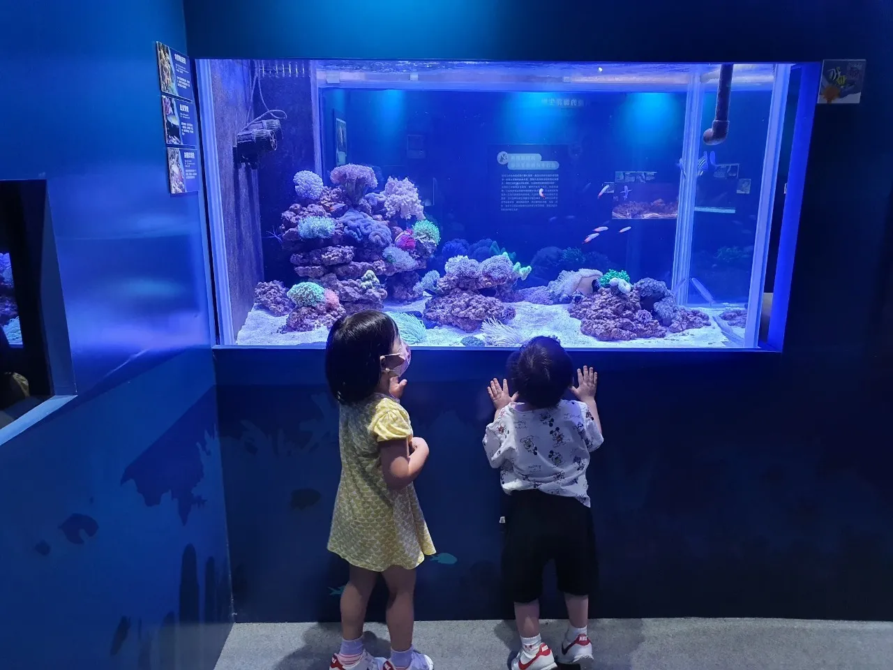 基隆海洋科技博物館_201005_24.jpg