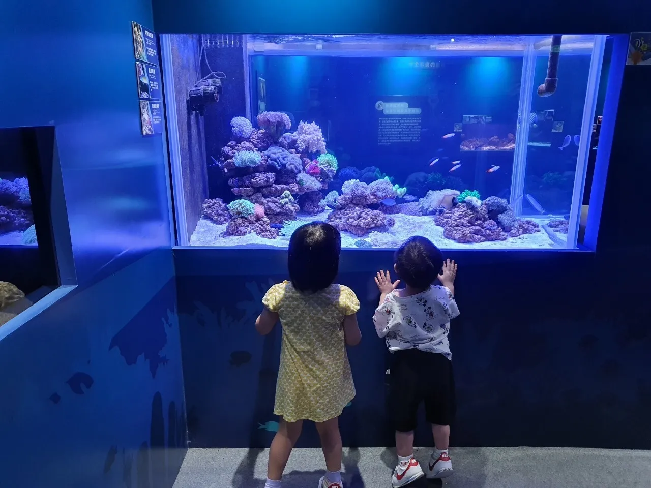 基隆海洋科技博物館_201005_22.jpg