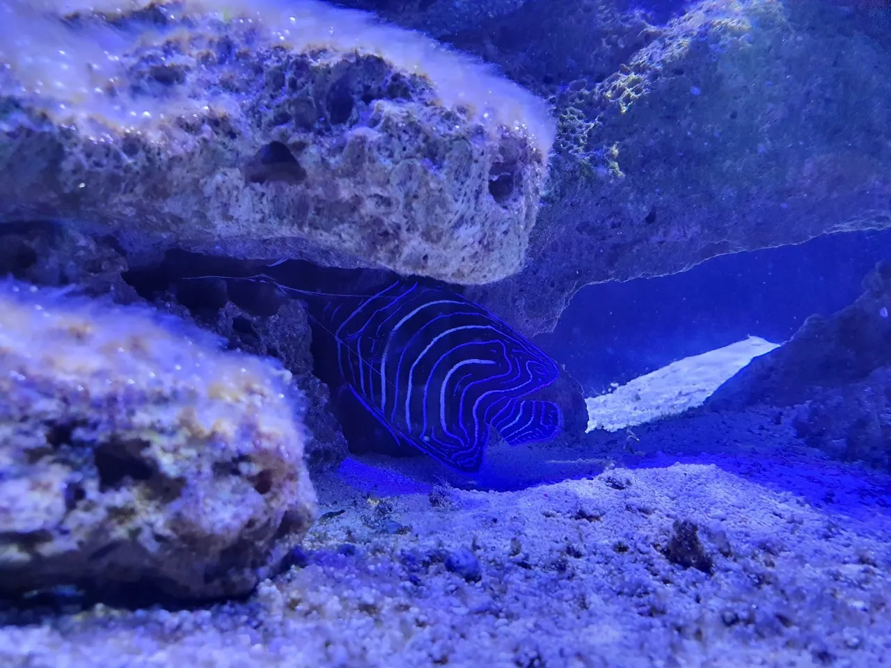 基隆海洋科技博物館_201005_43.jpg
