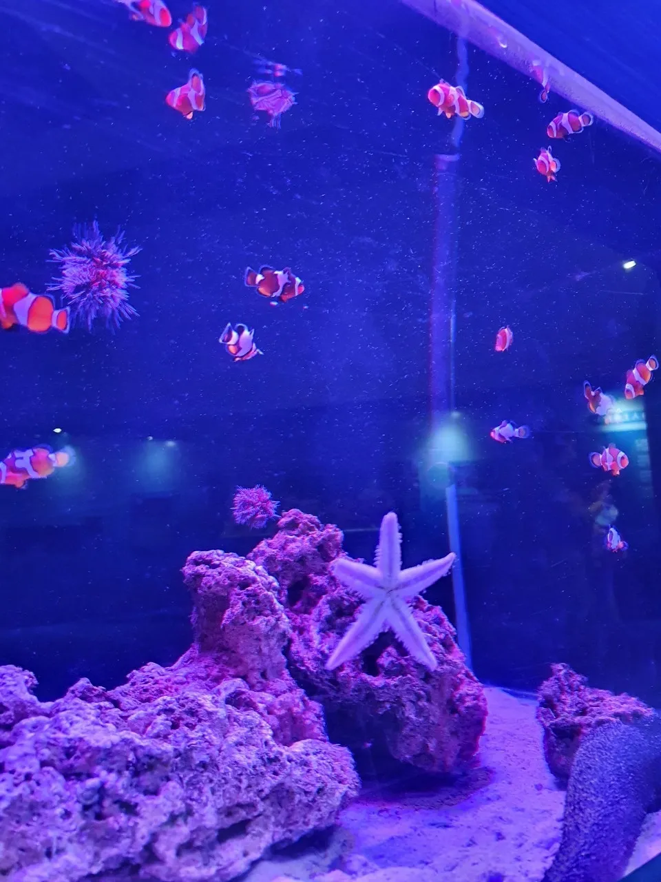 基隆海洋科技博物館_201005_42.jpg