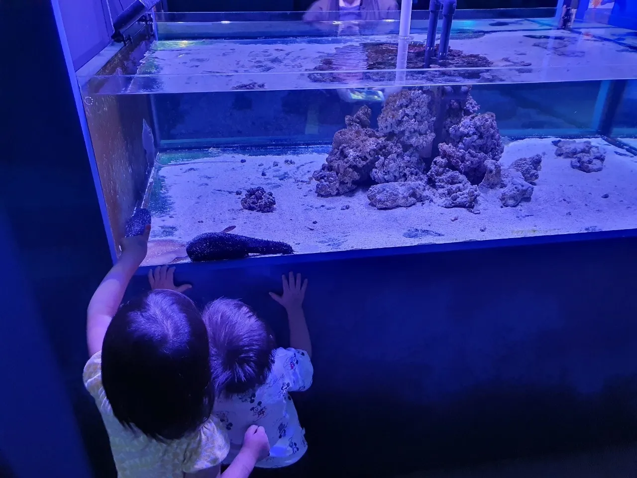 基隆海洋科技博物館_201005_32.jpg